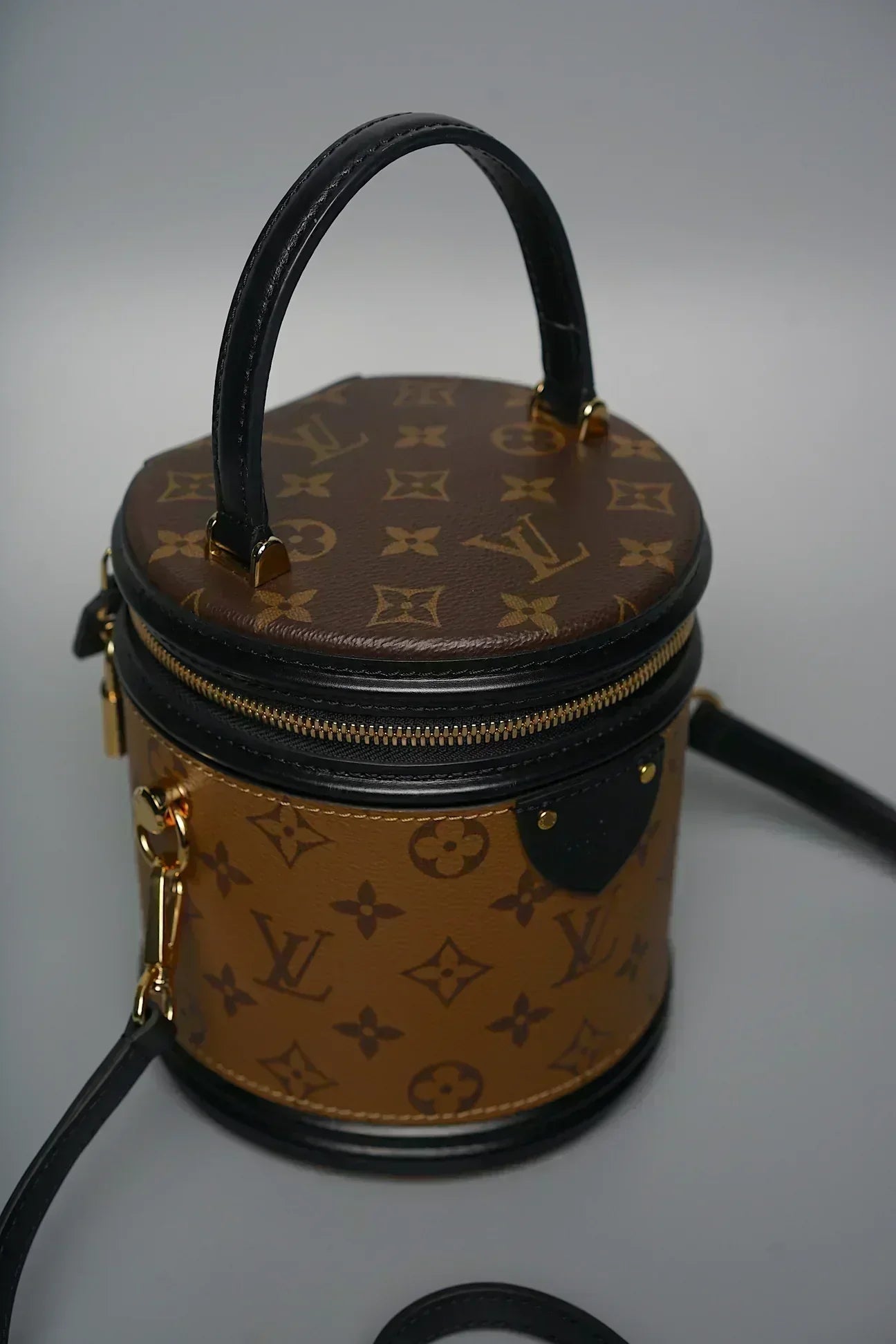 Louis Vuitton CANNES monogram canvas